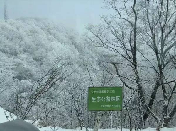 省内去神农架滑雪最全攻略,神农架滑雪攻略两天一夜