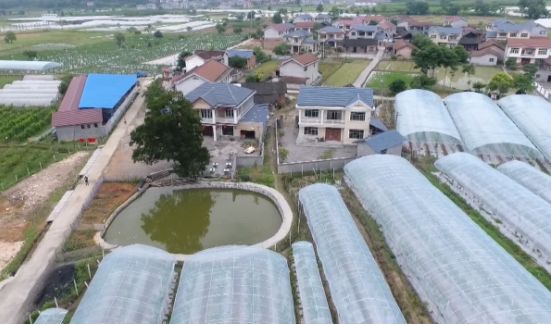 怀化广播电台在线收听直播,怀化电视台今日新闻