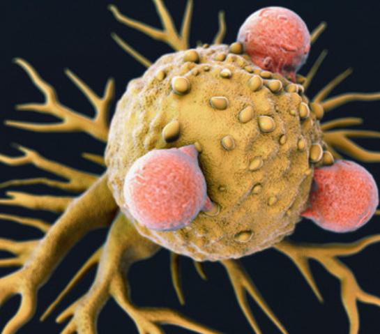 孕妇用橄榄油和普通橄榄油美容,孕妇抹的橄榄油是食用橄榄油吗