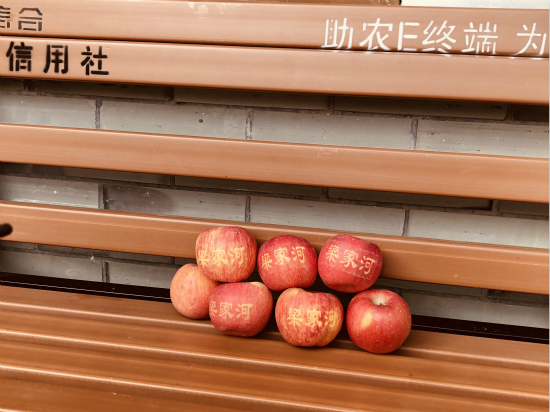 陕西梁家河旅游景点,西安梁家河旅游