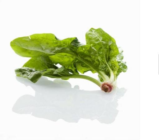 口腔异味从内脏发出,口腔异味最简单的办法