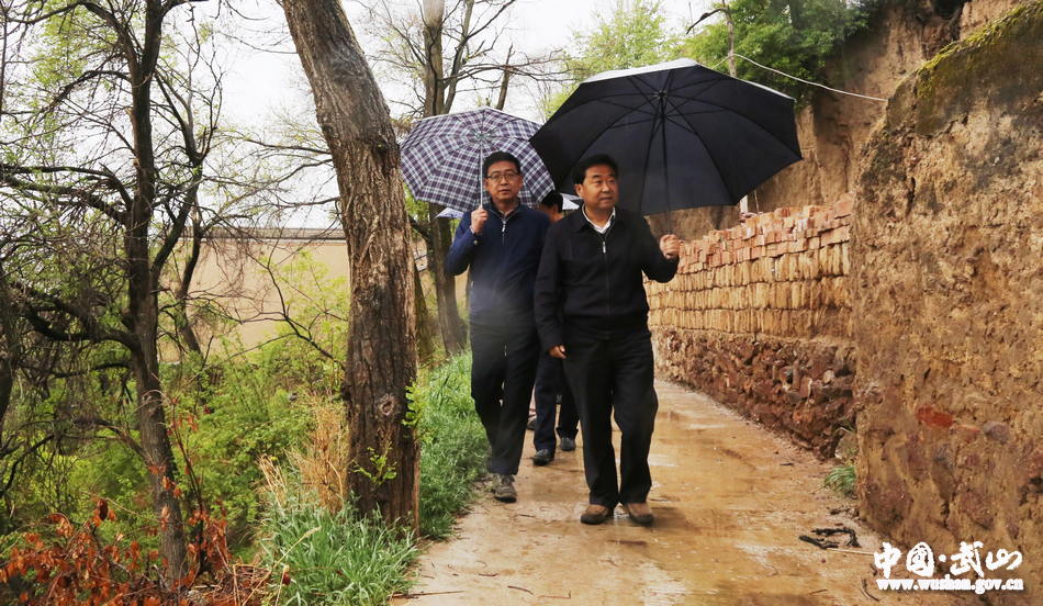 武山索鸿宾,武山县新闻索鸿宾
