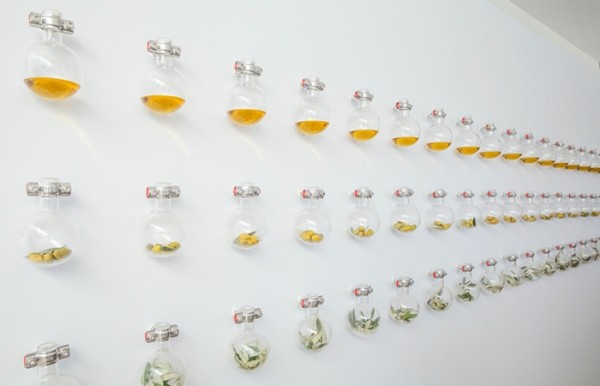 鎺㈠澶忓,鎺㈢储缇庤倢绉樺瘑