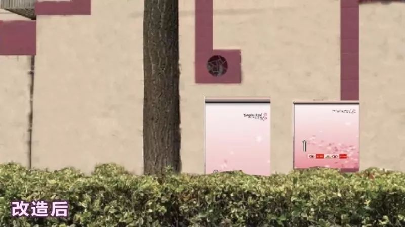 宝山浪漫樱花路图片,宝山樱花路