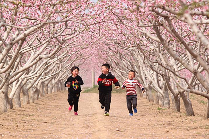 「纪检人·镜头」轻雷初惊蛰耕种满田畴