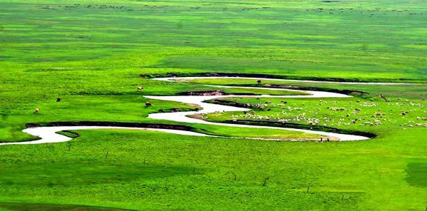 锡林郭勒盟美食手把肉,美食舌尖上的中国