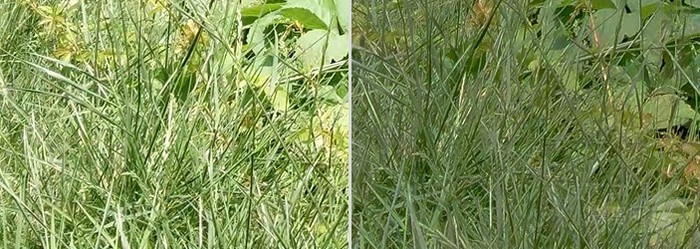 飞利浦436m6vbpa,飞利浦43寸分屏显示屏