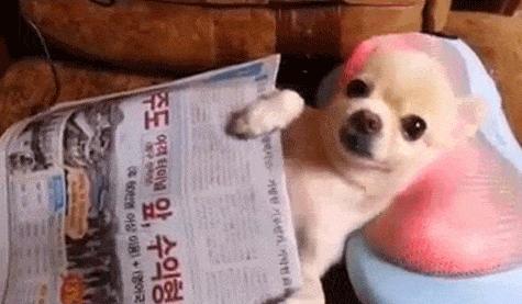 3月不美白45678月全部徒伤悲!你有多白就能撩到多少小狼狗?人肉种草机Vol.6:春季美白进行时!