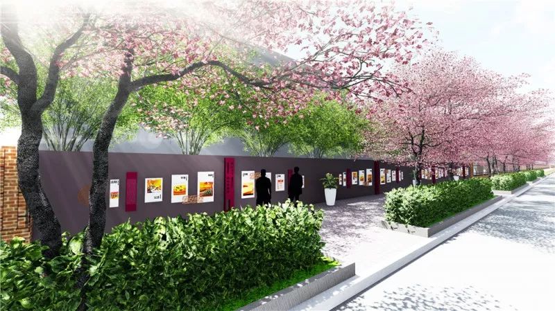 宝山浪漫樱花路图片,宝山樱花路