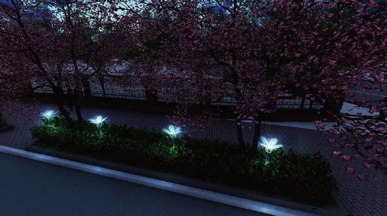 宝山浪漫樱花路图片,宝山樱花路