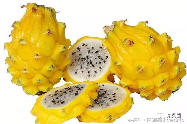 柬埔寨热带水果怎么挑选,柬埔寨哪几种水果好吃又便宜