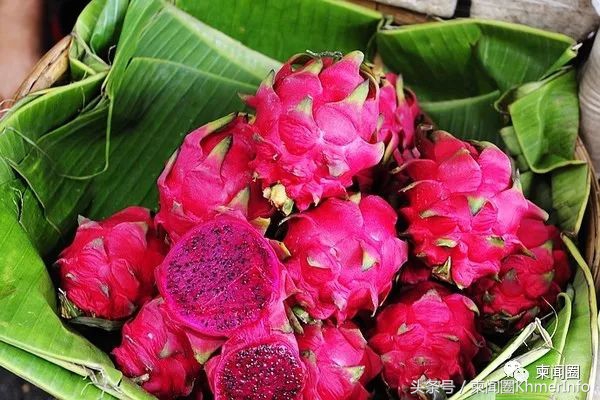 柬埔寨热带水果怎么挑选,柬埔寨哪几种水果好吃又便宜