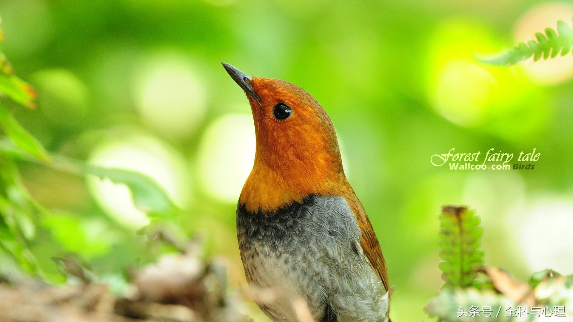 脚气冬天治好还是夏天治疗好,夏天来了脚气提前预防