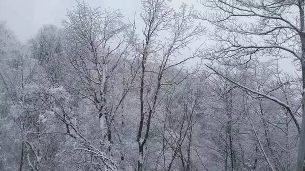 省内去神农架滑雪最全攻略,神农架滑雪攻略两天一夜