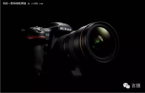 拍鸟尼康d5还是d500 (尼康d5与d500对焦系统的区别)
