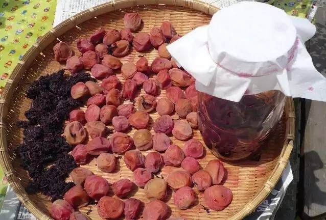 手工《家乡的味道》,梅子家乡味