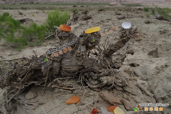 斑彩石是宝石吗,斑彩石宝石家族