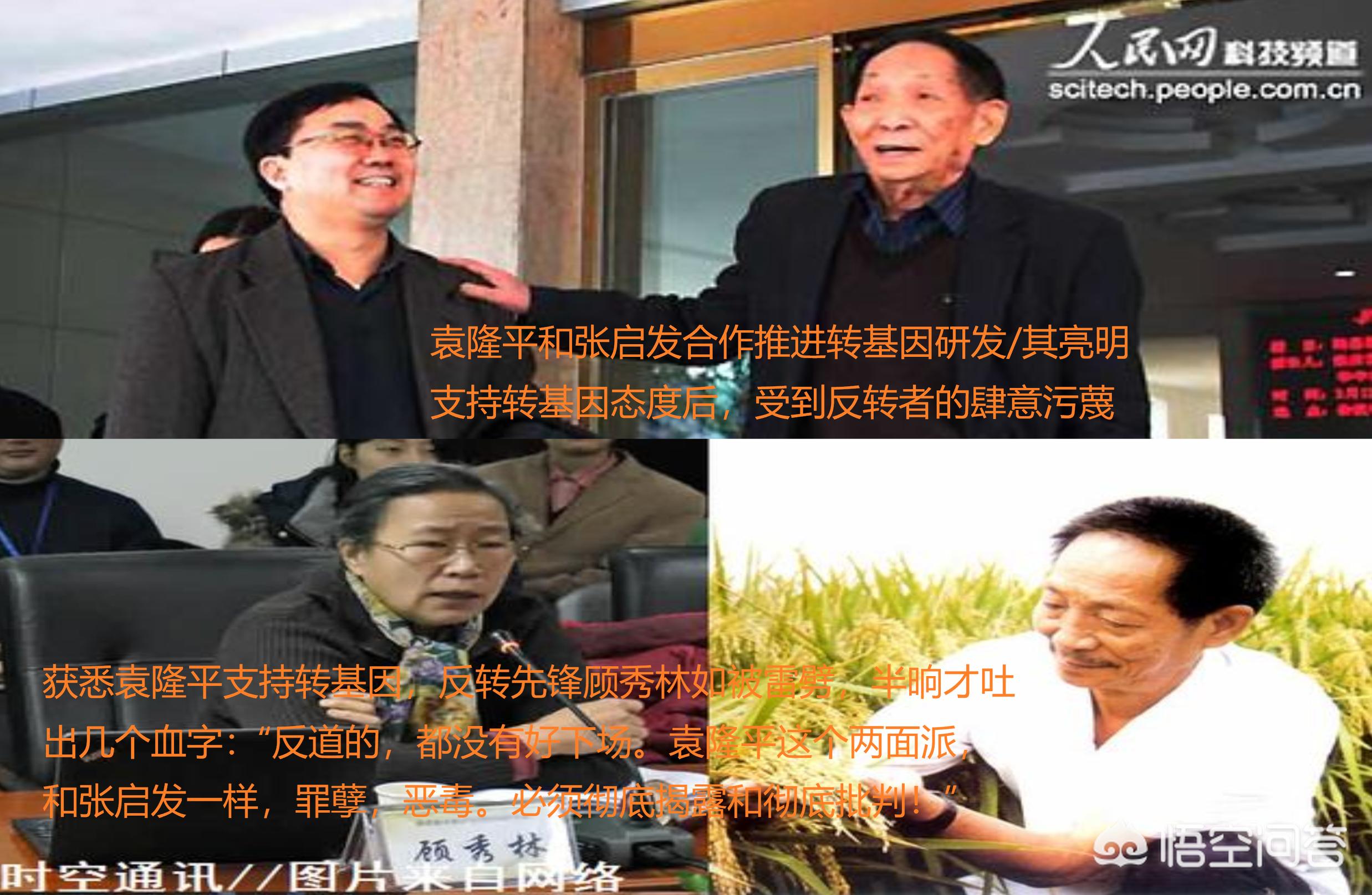 聊一下什么是转基因,揭露转基因的真面目