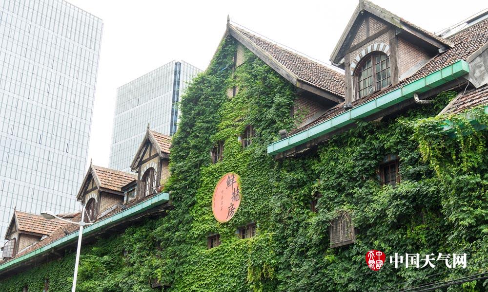 盘点那些绿色城堡看建筑如何在夏天穿上绿色“防晒衣”