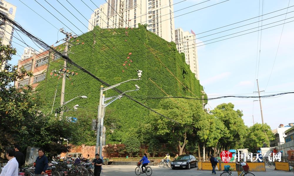 盘点那些绿色城堡看建筑如何在夏天穿上绿色“防晒衣”