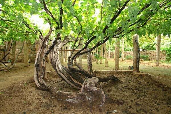 被电到的女孩,被女生电到了怎么回复