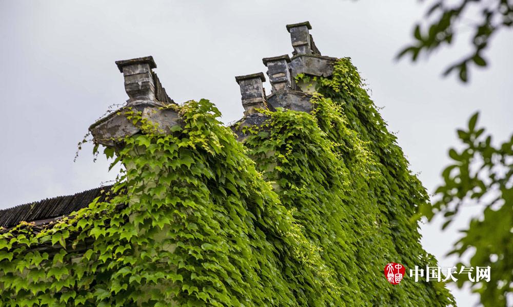 盘点那些绿色城堡看建筑如何在夏天穿上绿色“防晒衣”
