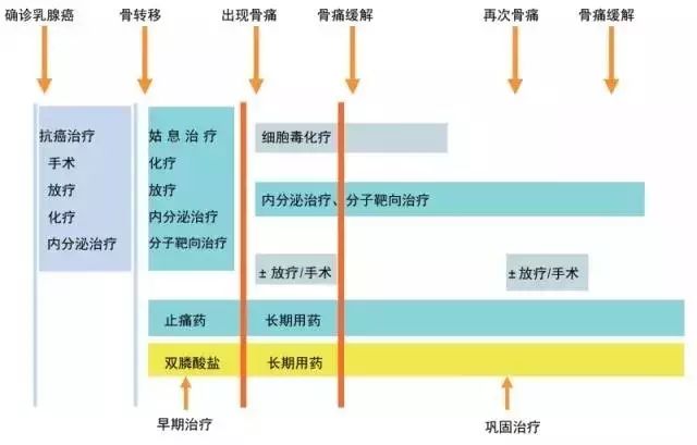乳腺癌骨转移的症状有哪些,乳腺癌骨转移骨癌能活多久