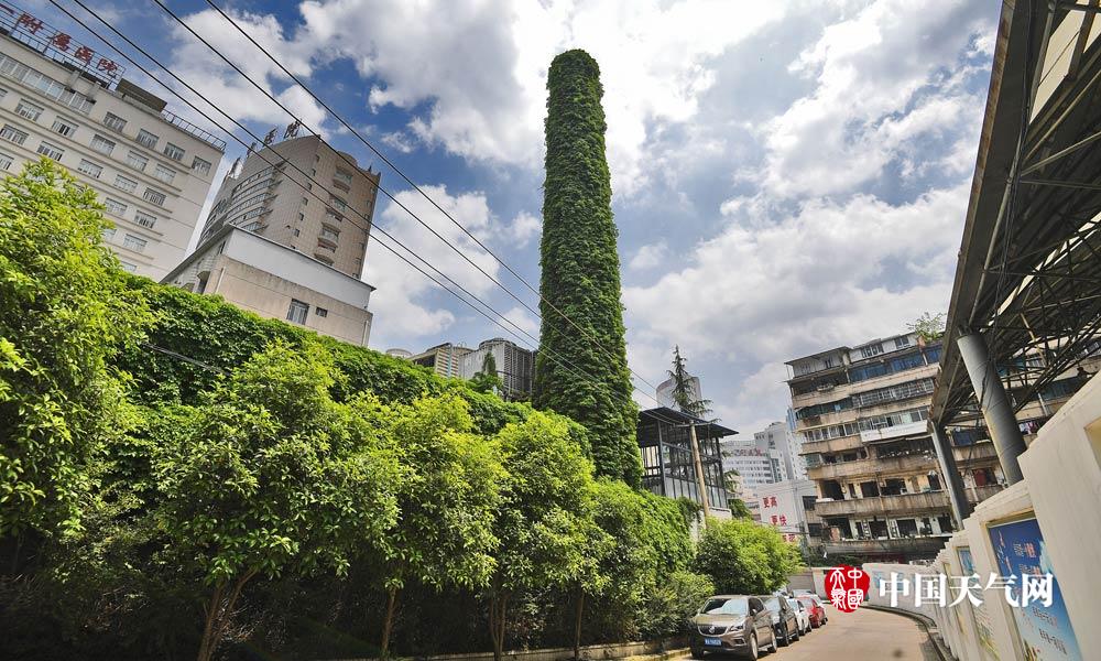 盘点那些绿色城堡看建筑如何在夏天穿上绿色“防晒衣”