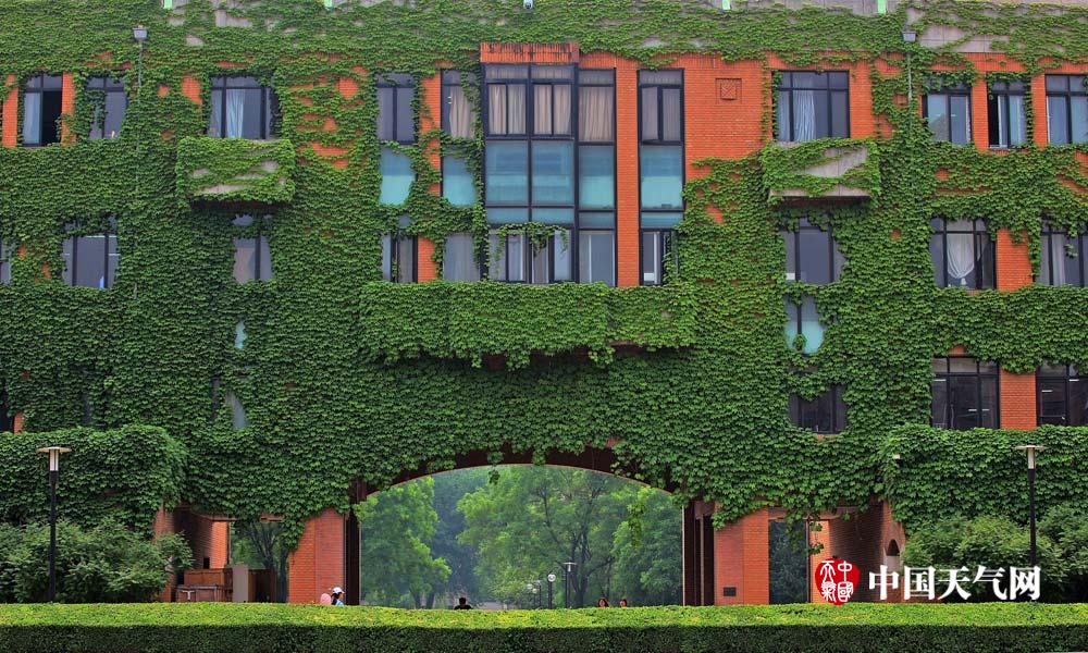 盘点那些绿色城堡看建筑如何在夏天穿上绿色“防晒衣”