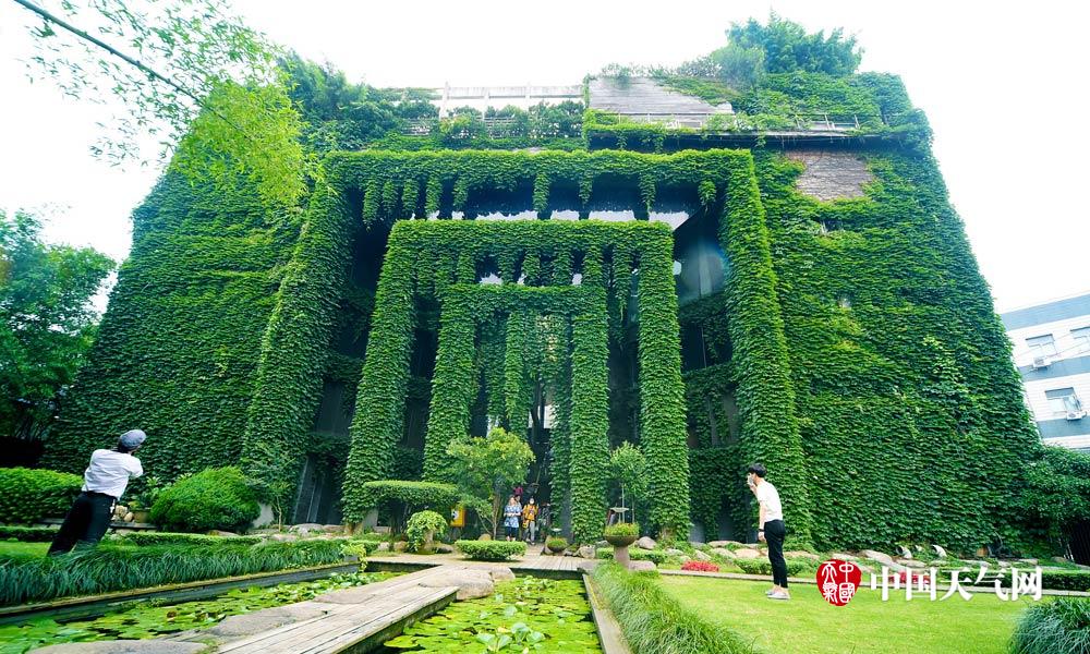 盘点那些绿色城堡看建筑如何在夏天穿上绿色“防晒衣”