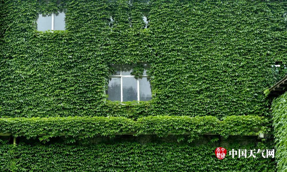 盘点那些绿色城堡看建筑如何在夏天穿上绿色“防晒衣”
