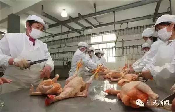 h7n9型禽流感出现过几次,h7n9禽流感持续了多久