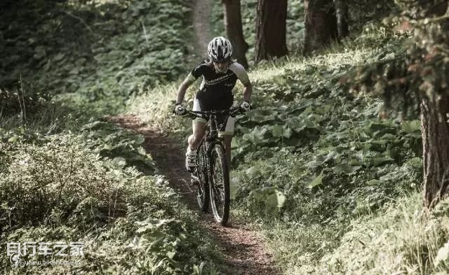 美利达o-ninext什么档次,美利达o-nine1000重量