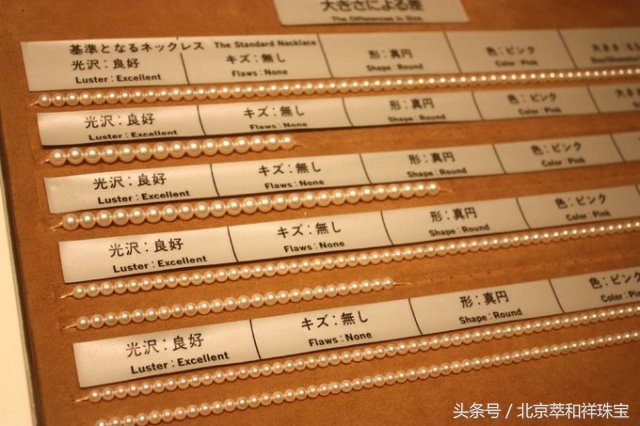 珍珠之王的前世今生南洋金珠,mikimoto珍珠是代加工吗