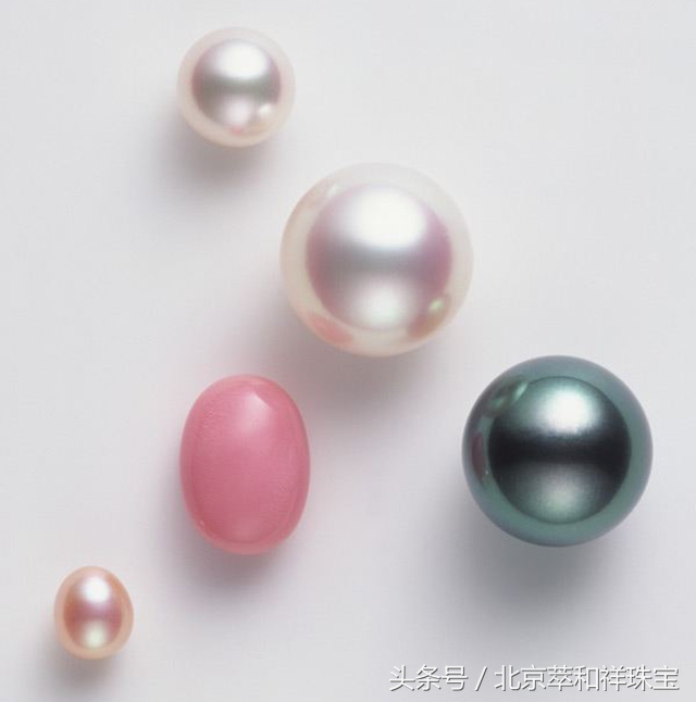 珍珠之王的前世今生南洋金珠,mikimoto珍珠是代加工吗