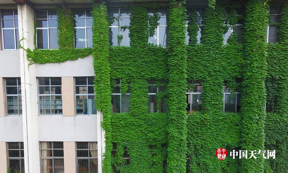 盘点那些绿色城堡看建筑如何在夏天穿上绿色“防晒衣”