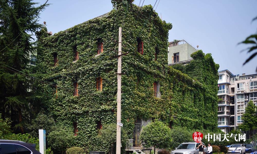 盘点那些绿色城堡看建筑如何在夏天穿上绿色“防晒衣”