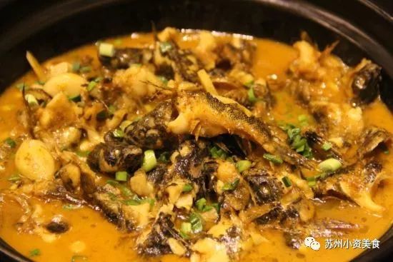 3月啦！不时不吃的苏州人又迎来了一波春天的美食，青团子、腌笃鲜、明前螺、马兰头……