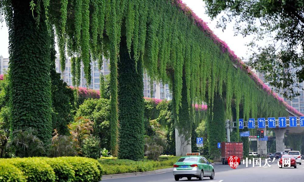 盘点那些绿色城堡看建筑如何在夏天穿上绿色“防晒衣”