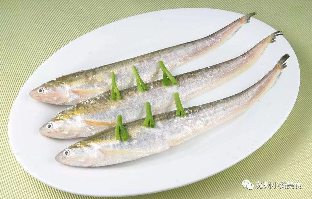 3月啦！不时不吃的苏州人又迎来了一波春天的美食，青团子、腌笃鲜、明前螺、马兰头……