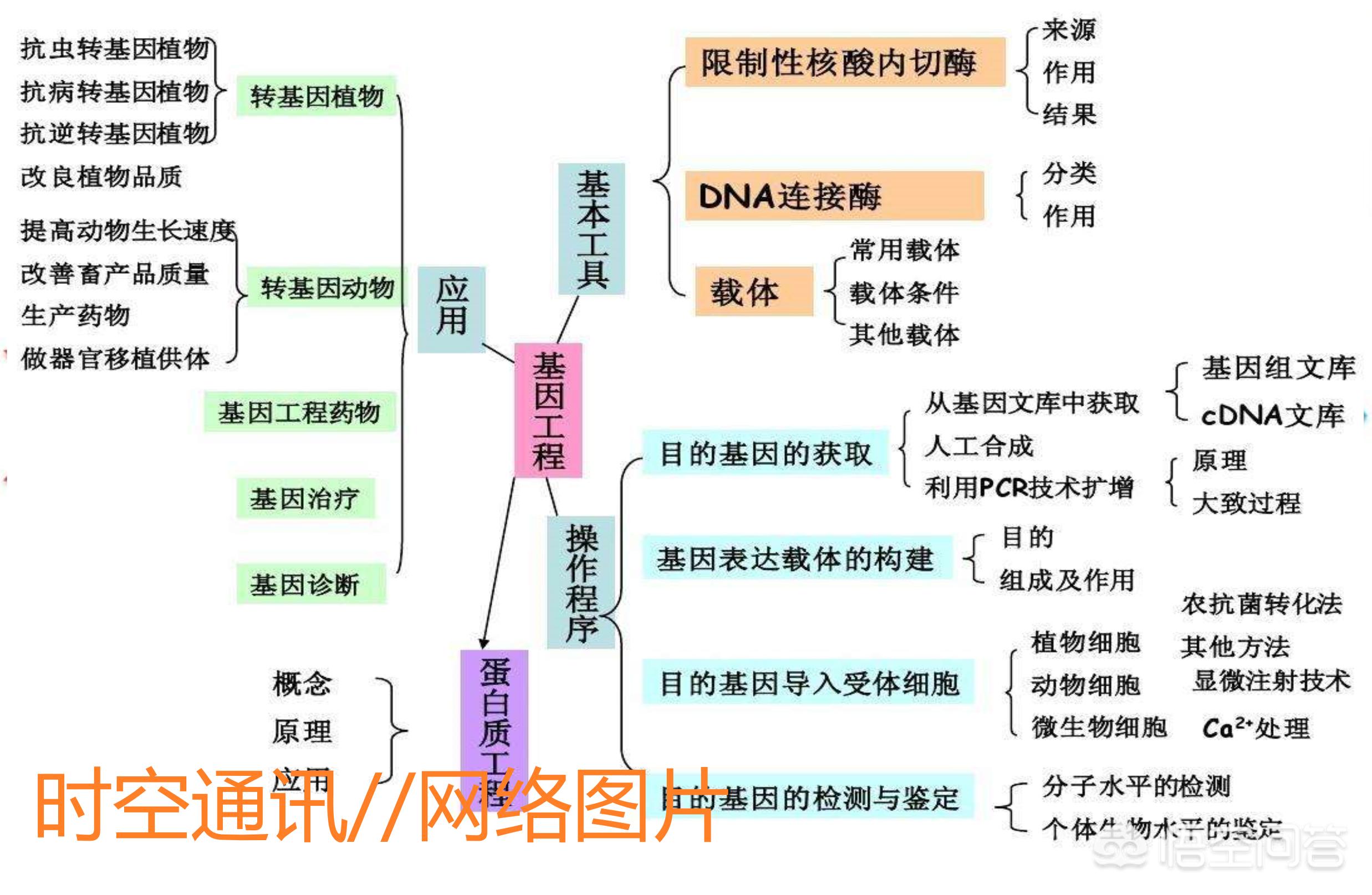 聊一下什么是转基因,揭露转基因的真面目