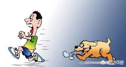 如果有一条狗要咬你干什么,如果有一条疯狗咬了你