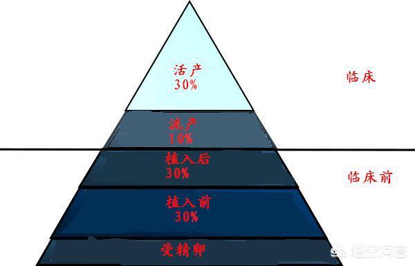 生化妊娠是什么意思图片,妊娠生化什么意思