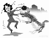 如果有一条狗要咬你干什么,如果有一条疯狗咬了你