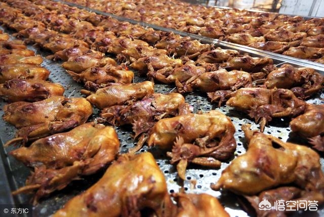 中国十大烧鸡哪里最好吃,哪种烧鸡最好吃也最有特色