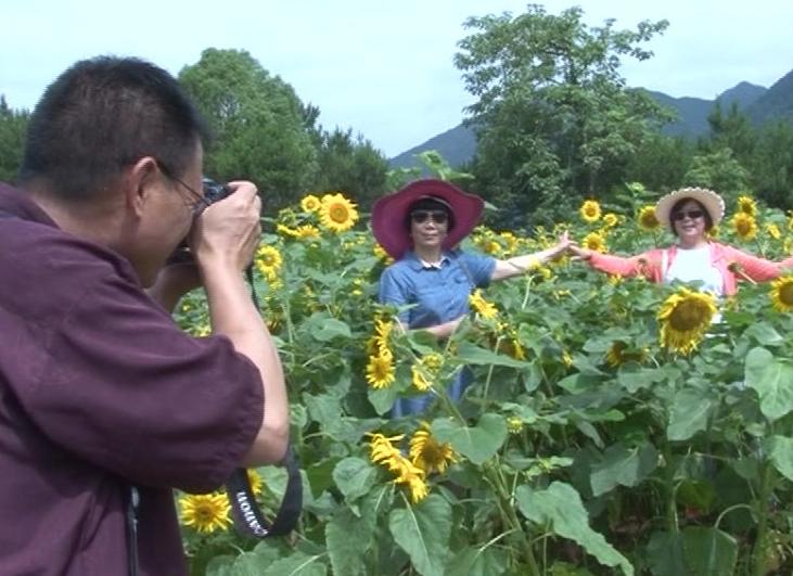 未来三个月没有假期,如何在青田抖high起来~~~(最时髦新玩法)