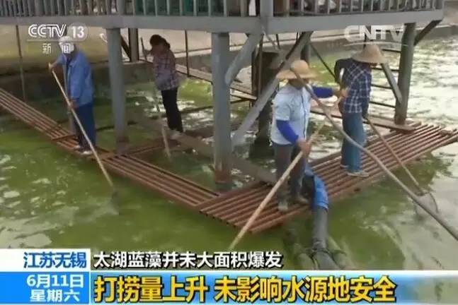 无锡太湖蓝藻持续时间,无锡太湖蓝藻爆发事件影响