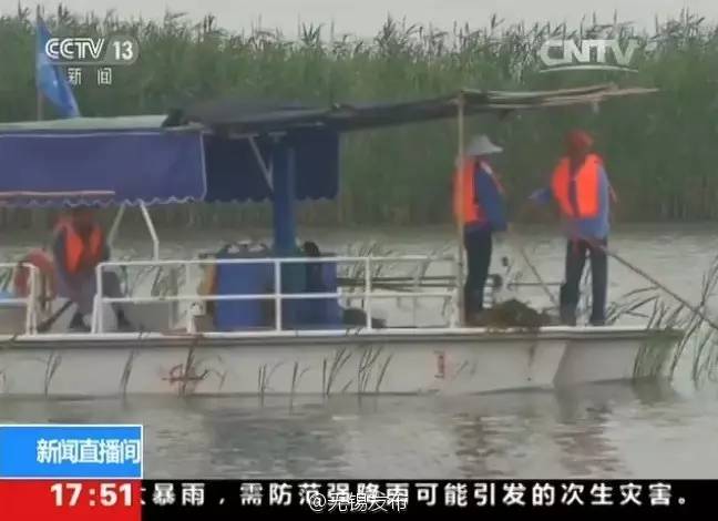 无锡太湖蓝藻持续时间,无锡太湖蓝藻爆发事件影响