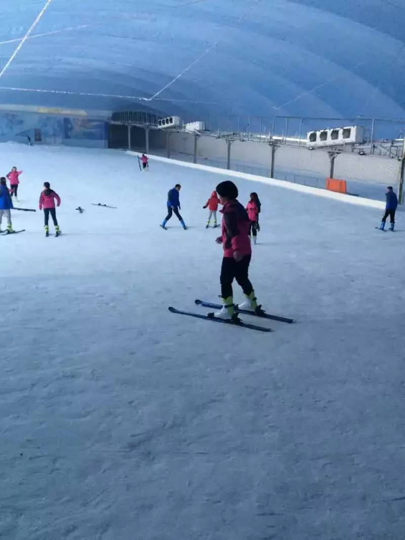 未来三个月没有假期,如何在青田抖high起来~~~(最时髦新玩法)