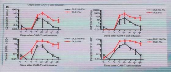 河南120万一针的car-t细胞疗法,120万一针的car-t细胞疗法治疗什么